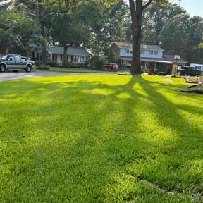 yard work by C &amp; M Lawn Service reviewed on November 22, 2025