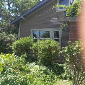 Bush Trimming by A Plus Lawn care reviewed on November 18, 2025