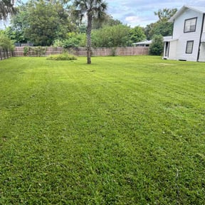 yard service by Touch of class reviewed on August 19, 2025