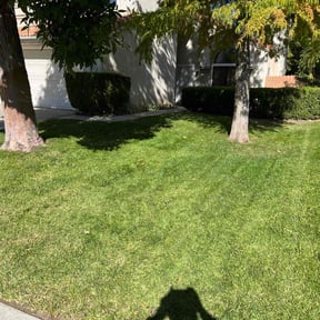 residential landscaping by Landscape reviewed on June 1, 2023
