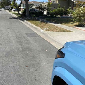 Leaf Removal by Venerable Lawn Care LLC reviewed on August 5, 2026