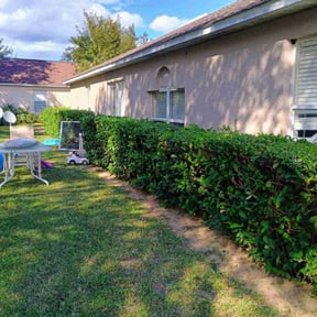 Bush Trimming by Marquez Do It All reviewed on August 10, 2025