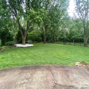 Cleanups by Anton Lawn Care reviewed on August 18, 2025