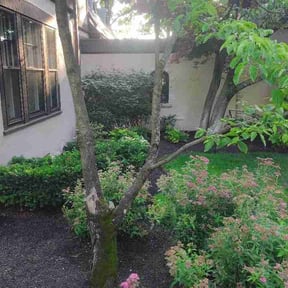 Leaf Removal by Ideal Design Landscape &amp; Property Maintenance reviewed on May 30, 2026