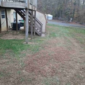 Leaf Removal by CRP Landscape reviewed on August 13, 2025