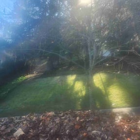Leaf Removal by Dabbic Lawn Care LLC reviewed on September 25, 2025