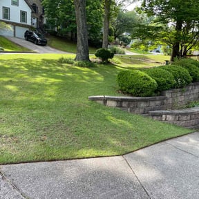 turf care by Santi landiscaping reviewed on November 7, 2025