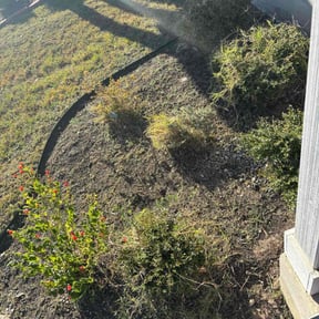 Flower Bed Weeding by Geessey&#039;s LLC. reviewed on May 7, 2025