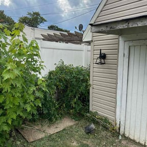 Bush Trimming by CCs lawn service LLC reviewed on October 19, 2025