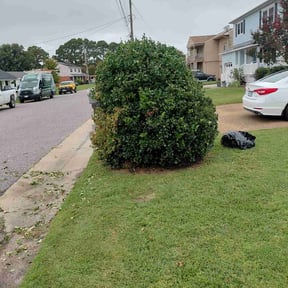 Bush Trimming by Brotherly Lawn reviewed on October 19, 2025