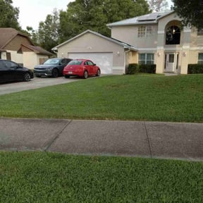 gardening service by True lawn reviewed on November 18, 2025