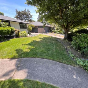 yard care by Green cutz reviewed on May 4, 2025