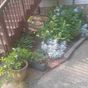 Flower Bed Weeding by Dino Cuts Lawn Care reviewed on August 6, 2026