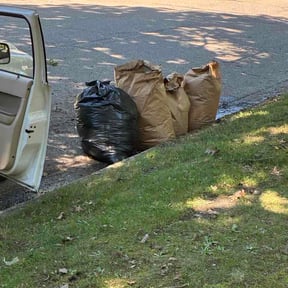 Leaf Removal by Nova lawn care reviewed on June 18, 2026
