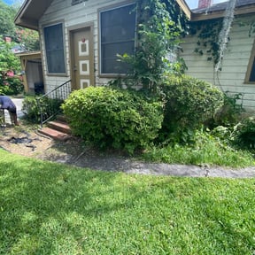 Bush Trimming by Jeremiah Williams reviewed on August 19, 2025