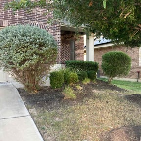 Bush Trimming by Austin Joe's Lawn Company reviewed on November 9, 2017