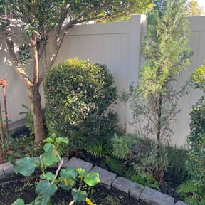 Bush Trimming by ABC Lawn Maintenance reviewed on October 22, 2025