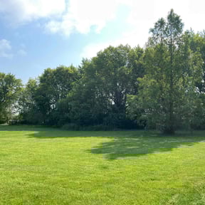 landscaping by Babcock Enterprises LLC reviewed on August 15, 2025