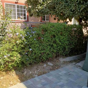 Bush Trimming by Bennett Lawn Care reviewed on November 6, 2025