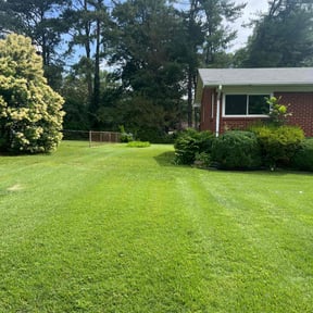 landscaping services by 3D Jayson Jr Grading &amp;Lawncare reviewed on November 24, 2025