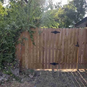 Bush Trimming by Guerrero's Landscaping reviewed on July 31, 2026