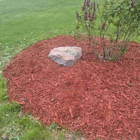 Mulching by 3B Landscaping. reviewed on May 2, 2026
