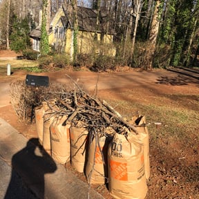 Leaf Removal by Mow Pro reviewed on September 24, 2025