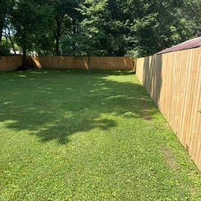 yard care by Jose reviewed on August 21, 2025