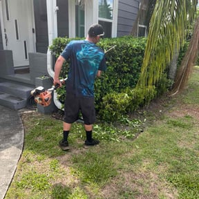 Bush Trimming by Hurst Lawn and Labor Services reviewed on November 24, 2025