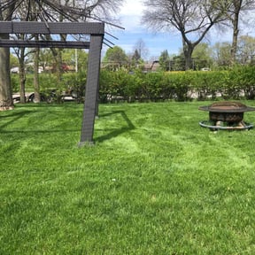landscaping by E's Lawn Care & Services reviewed on August 15, 2025