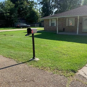 residential landscaping by N.E.HLandscaping reviewed on November 27, 2025