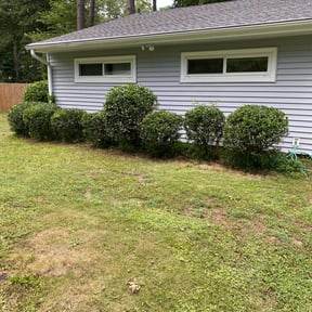Bush Trimming by Terra Dura Landscapes LLC reviewed on August 20, 2025