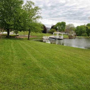 yard care by Re Image lawn care reviewed on August 15, 2025