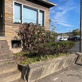 Bush Trimming by Martin LLC reviewed on October 18, 2025