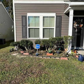 Bush Trimming by Blue Lagoon Lawn Service reviewed on November 10, 2025