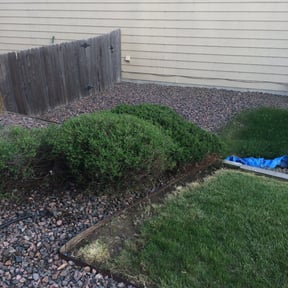 Bush Trimming by Giron Tree Services LLC reviewed on August 21, 2025