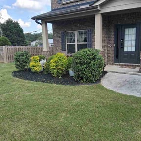 Bush Trimming by RV Property Stewardship reviewed on June 29, 2026