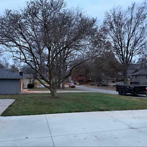 Leaf Removal by Platinum Landscape reviewed on December 2, 2025