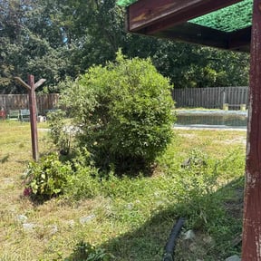 Bush Trimming by Roberts Cutting Edge LLC reviewed on October 20, 2025