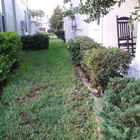 Bush Trimming by GAMA Lawn Care Services reviewed on August 16, 2025