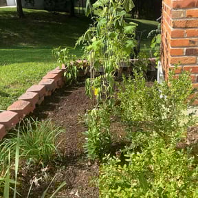 Flower Bed Weeding by Hopper and sons landscaping LLC reviewed on October 22, 2025