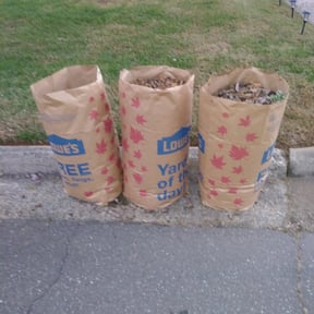 Leaf Removal by Fazal Management Group LLC reviewed on September 11, 2025