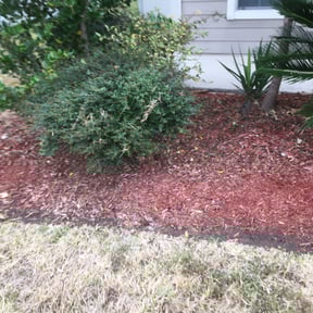 Flower Bed Weeding by D&amp;D Lawn Care reviewed on August 19, 2025