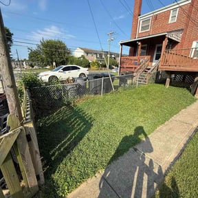 Bush Trimming by D&amp;R  Landscaping/Junkrremoval reviewed on January 11, 2024