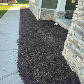 Mulching by Willis Apex reviewed on February 4, 2026