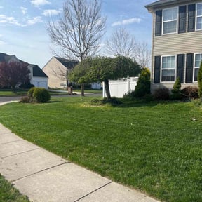 yard service by A Plus Lawn care reviewed on August 19, 2025