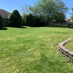 landscaping services by D-Line Lawns and More reviewed on August 17, 2025