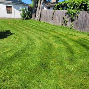 gardening service by The right cutt reviewed on December 31, 2025