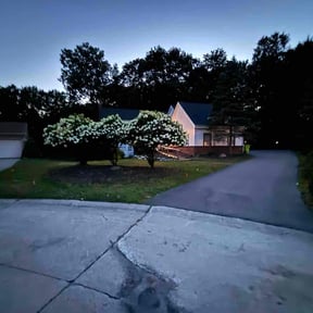 Bush Trimming by CLIFFS Lawn & More reviewed on August 15, 2025