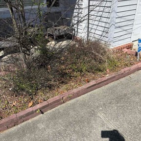Flower Bed Weeding by Brigman Lawn and Land Maintenance reviewed on March 20, 2026